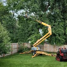 Best Seasonal Cleanup (Spring/Fall)  in East Canton, OH